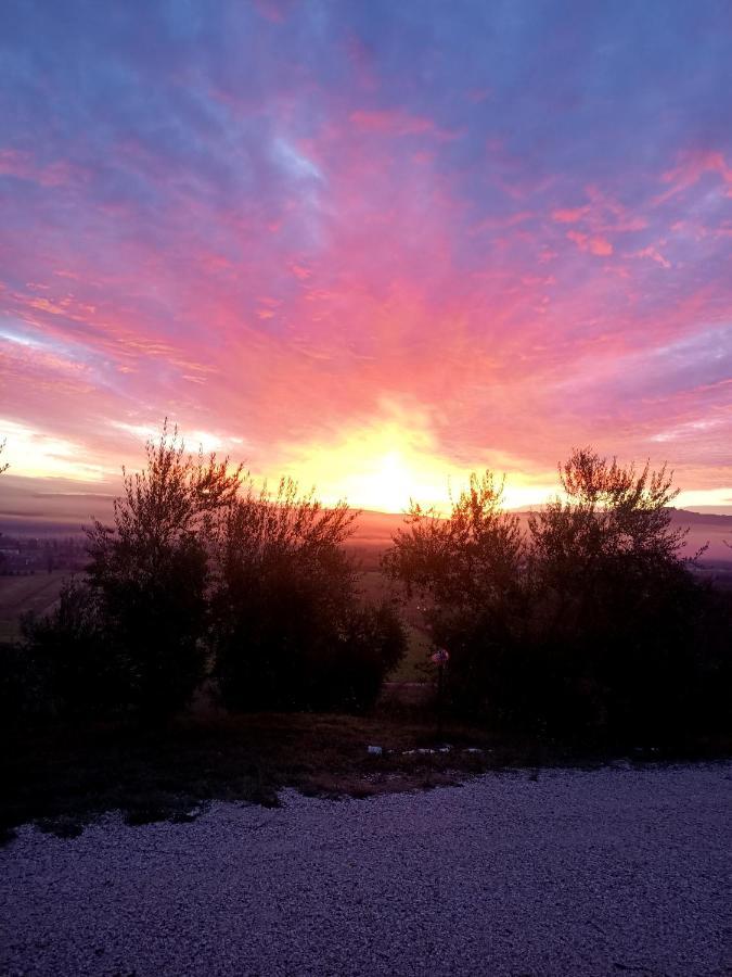 Bed and Breakfast Il Casale di Lavinia Fabro Esterno foto